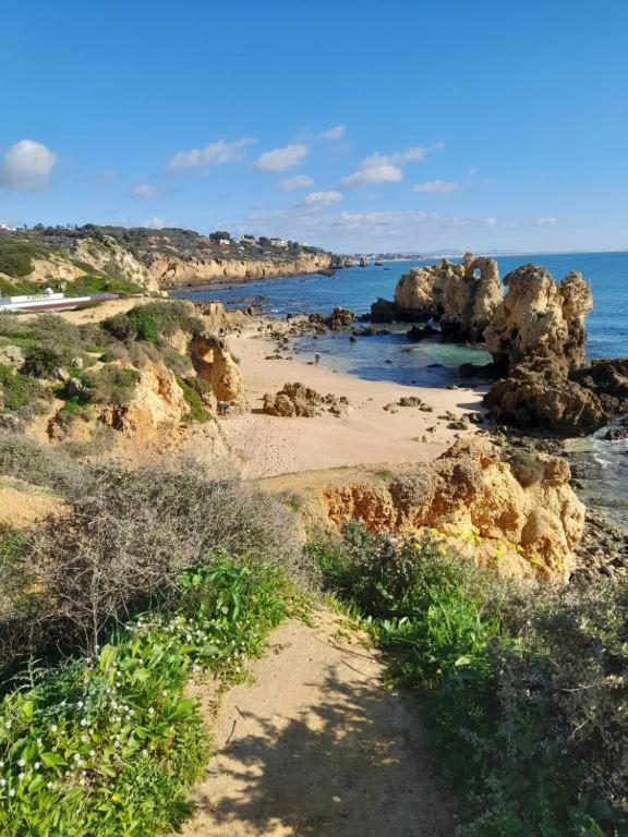 Estudio Puertorico T0 Em Albufeira Gale Exteriör bild